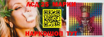 spice Новодвинск