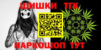 spice Новодвинск